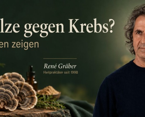 Heilpilze gegen Krebs – René Gräber mit Reishi und Coriolus zu aktuellen Studien über Beta-Glucane in der Onkologie