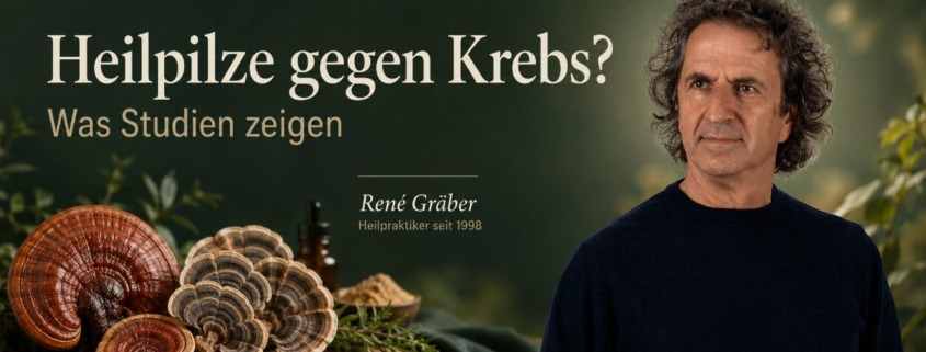 Heilpilze gegen Krebs – René Gräber mit Reishi und Coriolus zu aktuellen Studien über Beta-Glucane in der Onkologie